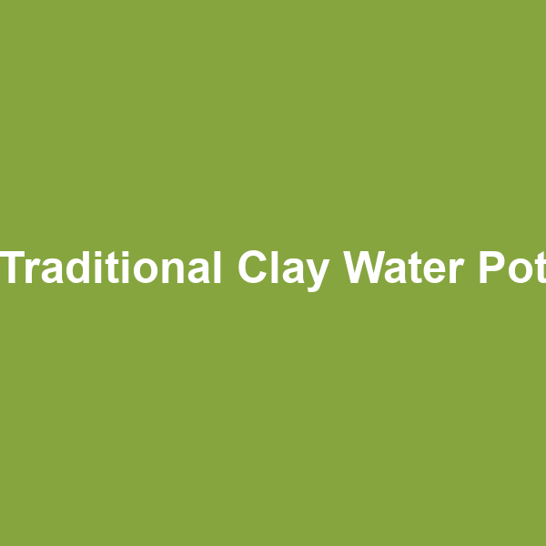 Traditional Clay Water Pot